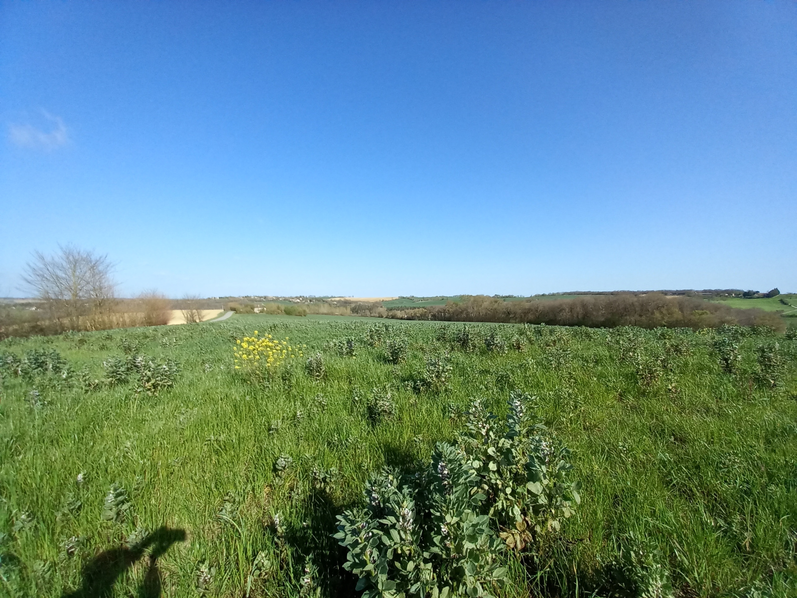 Image_17, Villa, L'Isle-Jourdain, ref :1109