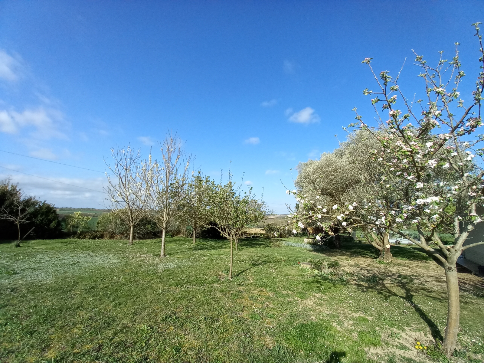 Image_18, Villa, L'Isle-Jourdain, ref :1109