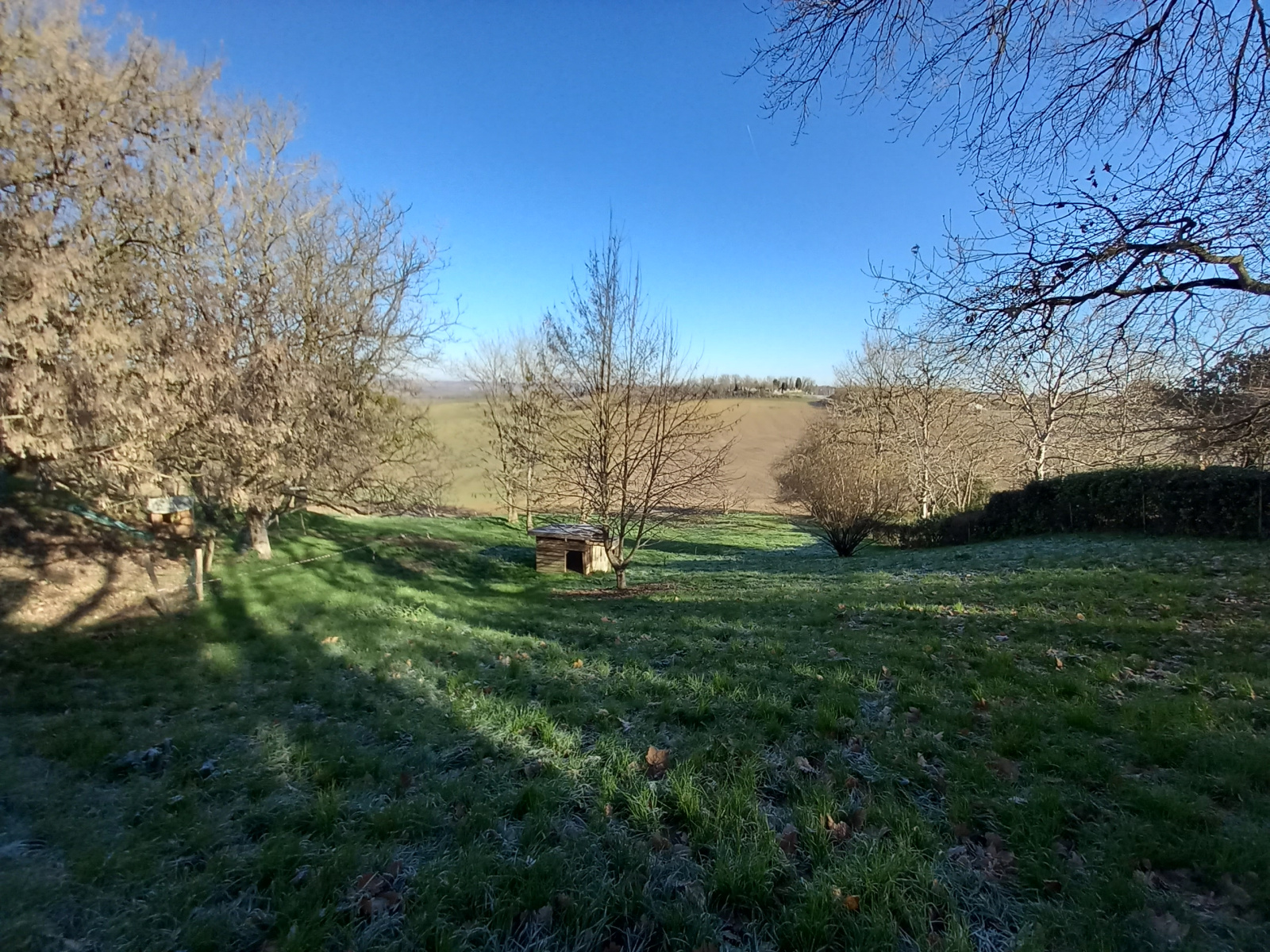 Image_1, Terrain à batir, Cadours, ref :999