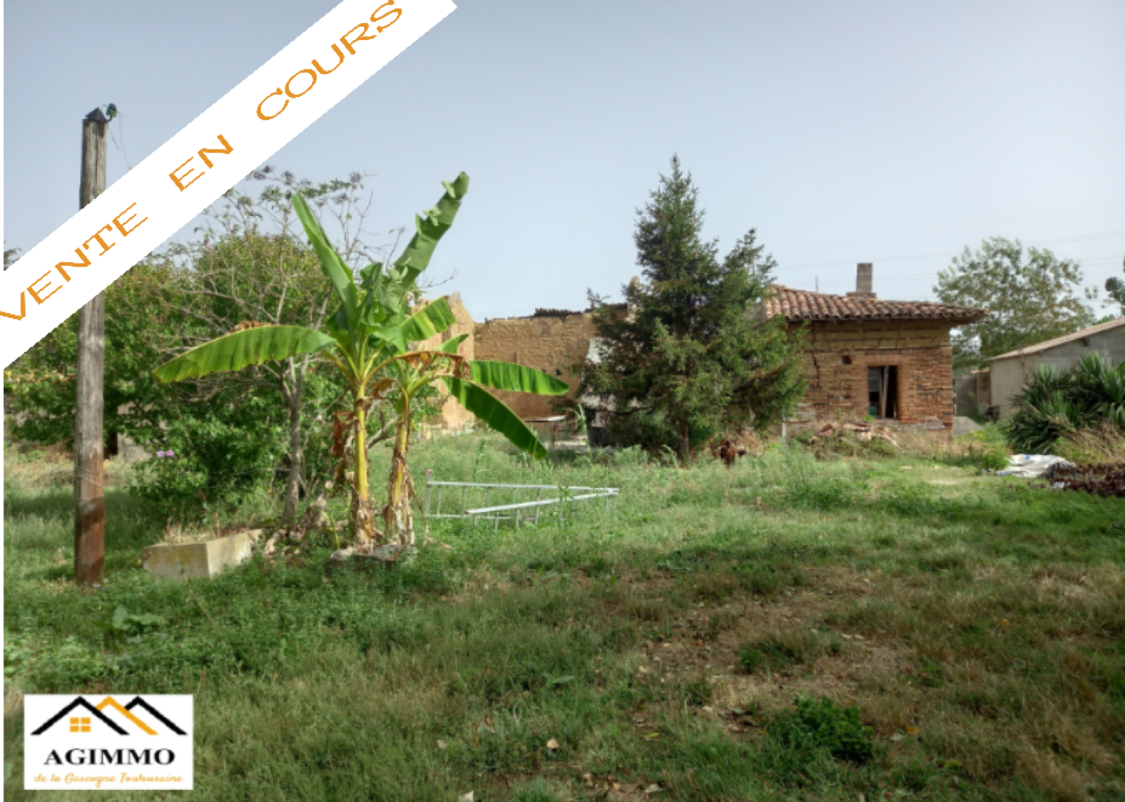 Image_1, Propriete, Grenade, ref :982