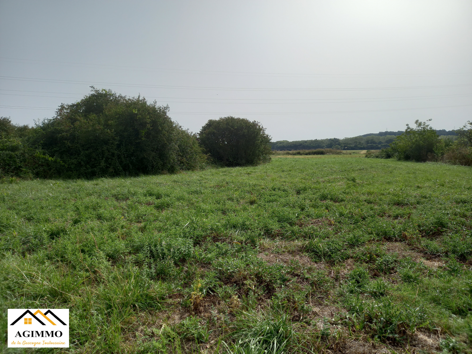 Image_4, Propriete, Grenade, ref :982