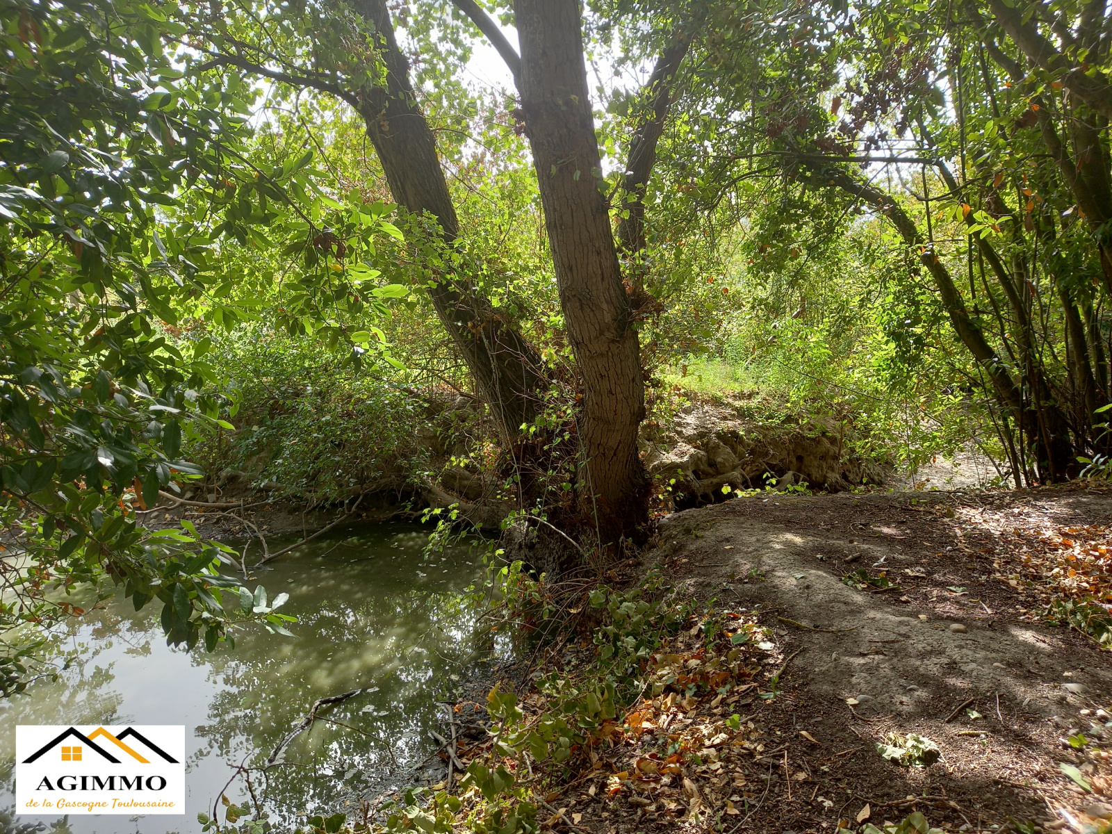 Image_5, Propriete, Grenade, ref :982