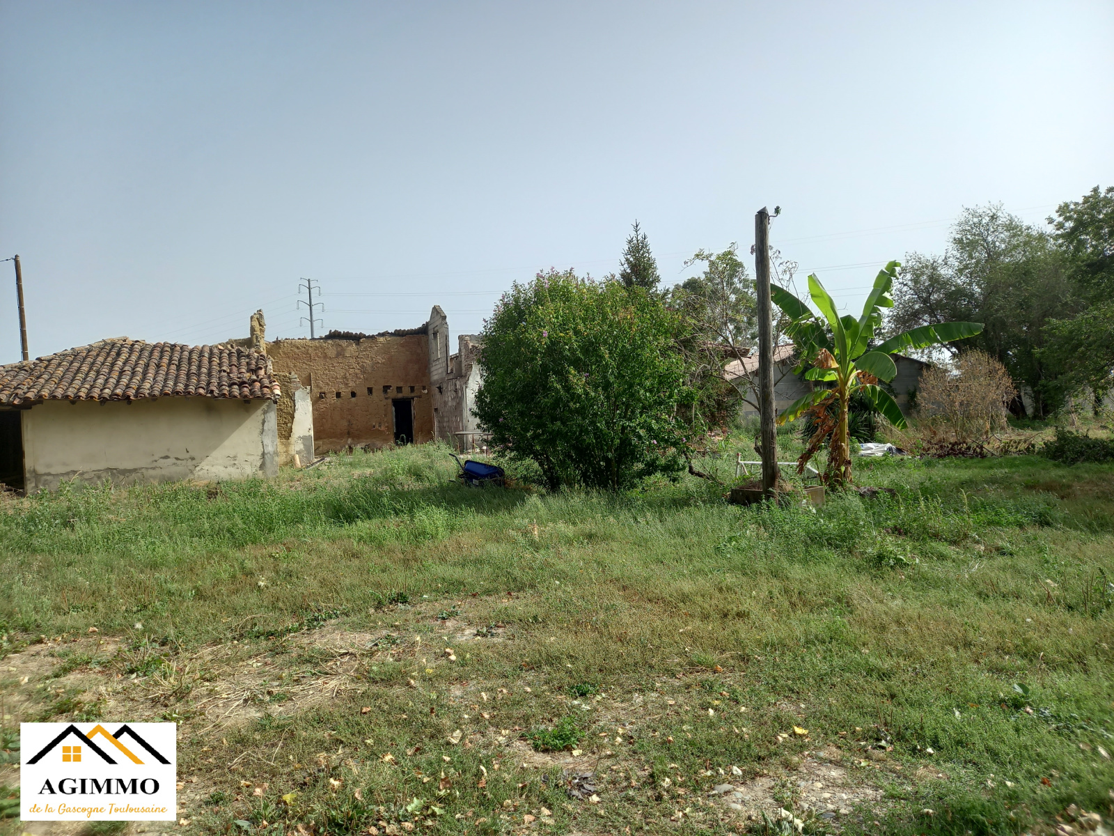 Image_3, Propriete, Grenade, ref :982