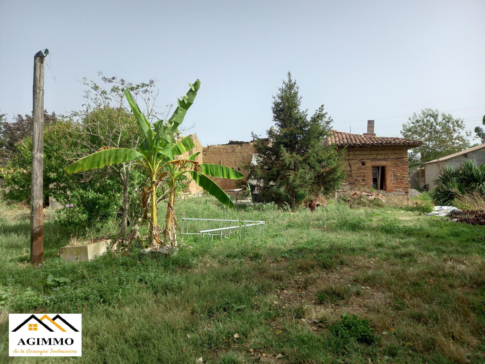 Image_2, Propriete, Grenade, ref :982