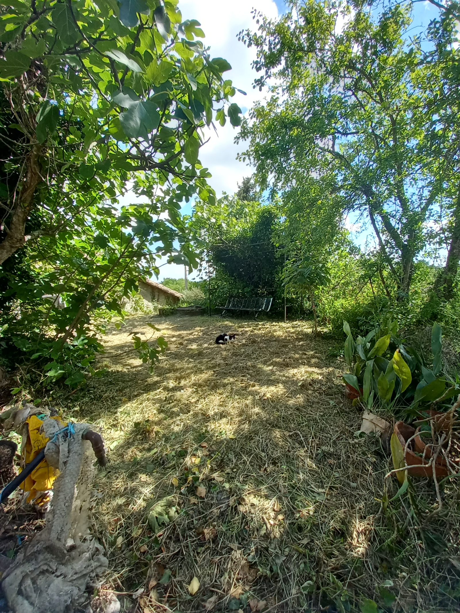 Image_10, Maison de village, Mauvezin, ref :1115