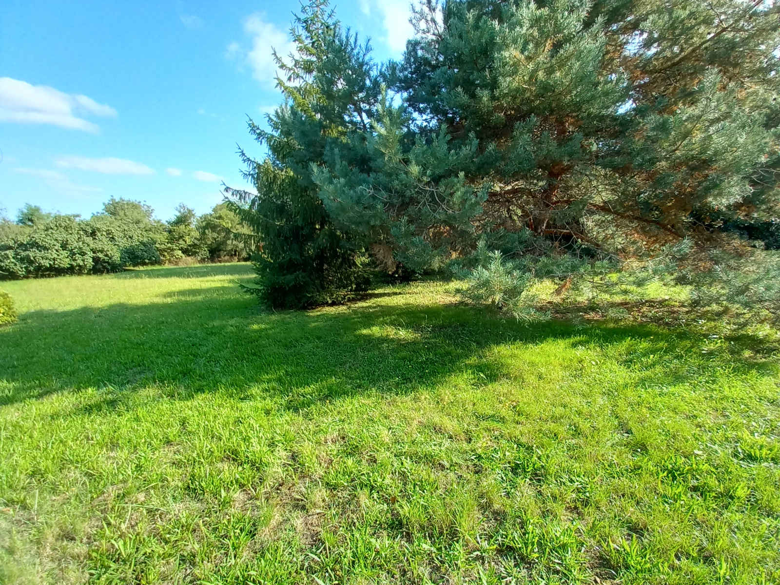 Image_3, Maison, Mauvezin, ref :1062