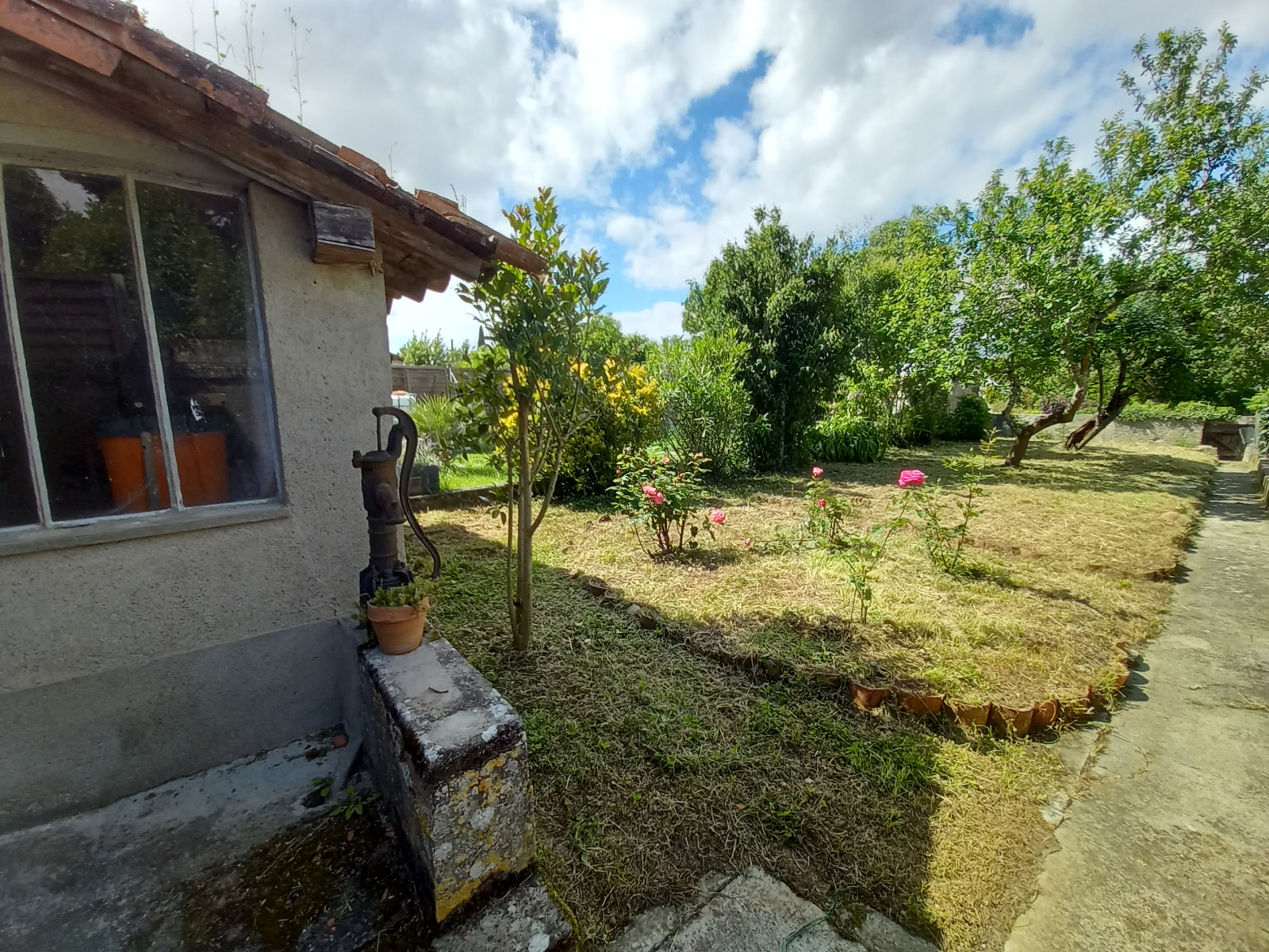 Image_1, Maison, Cologne, ref :1045