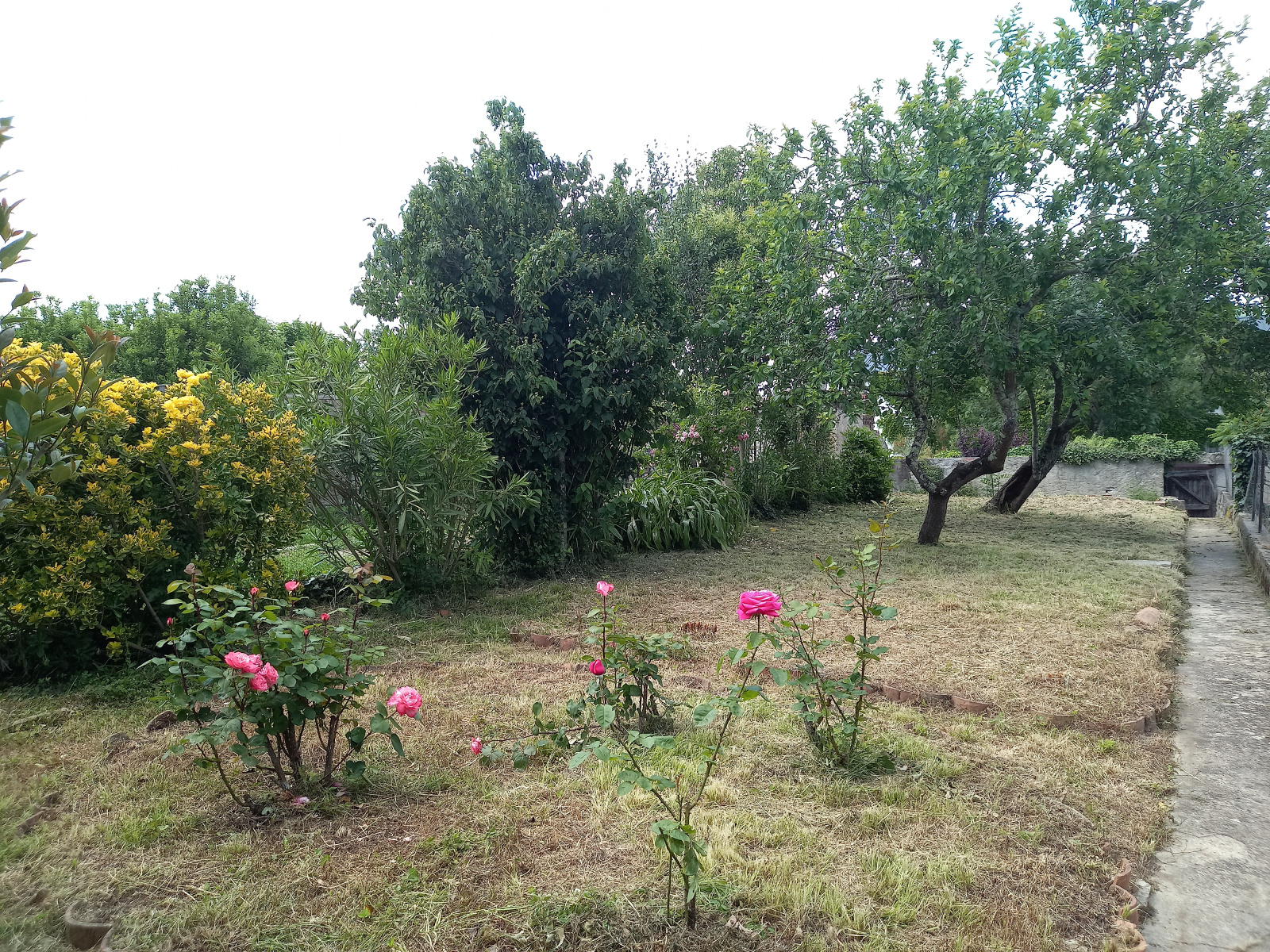 Image_8, Maison, Cologne, ref :1045