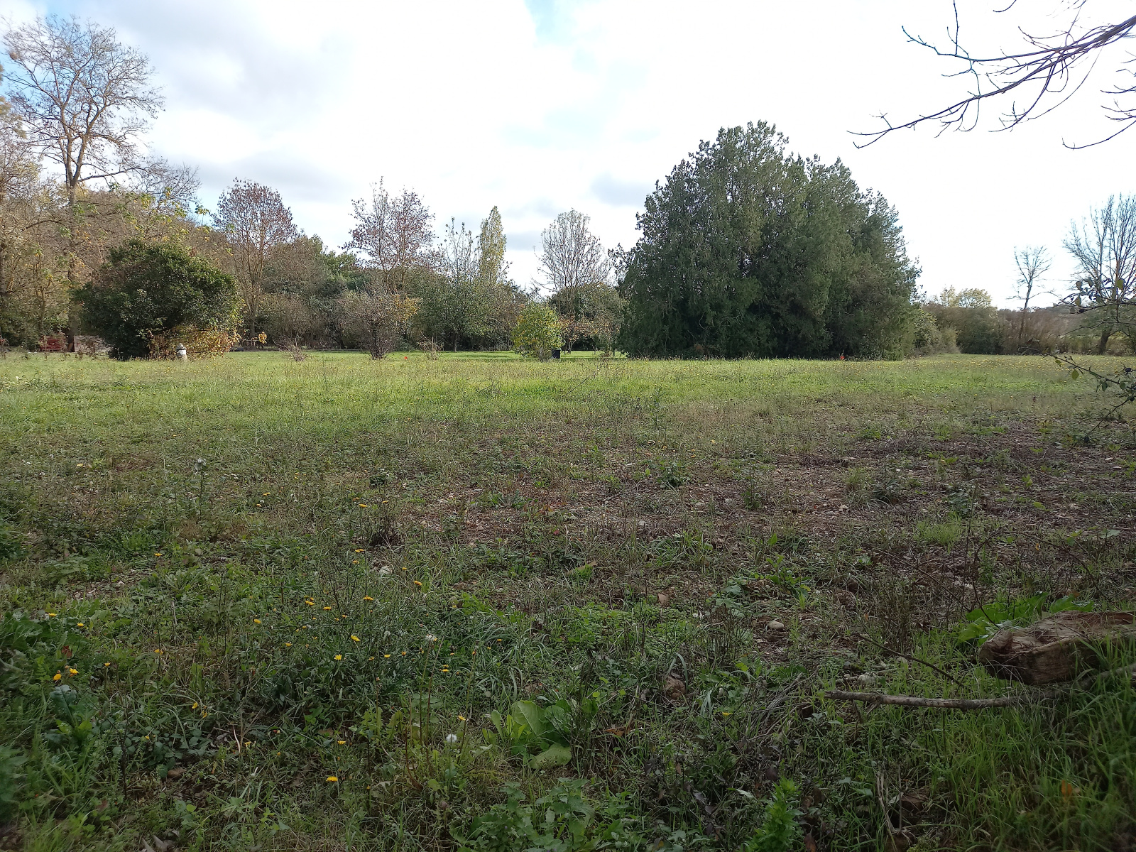 Image_4, Terrain à batir, Ségoufielle, ref :1071