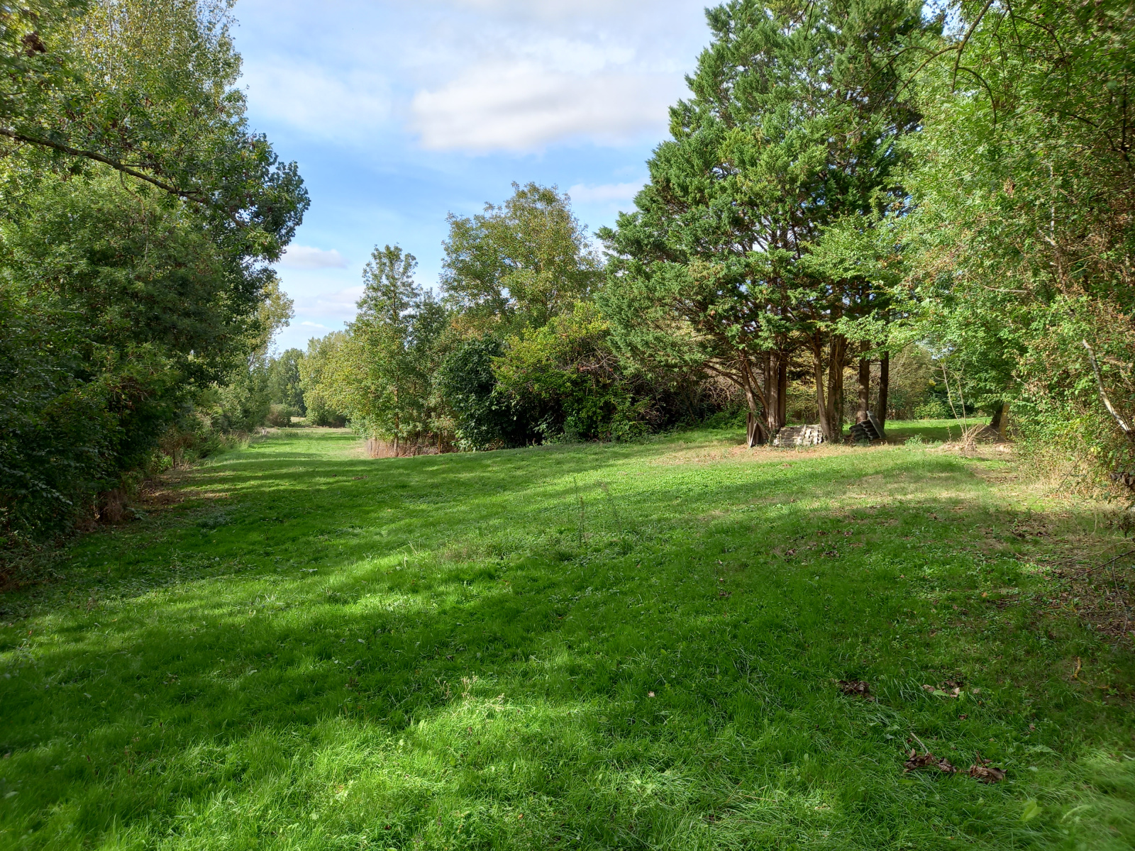 Image_8, Maison, Cologne, ref :