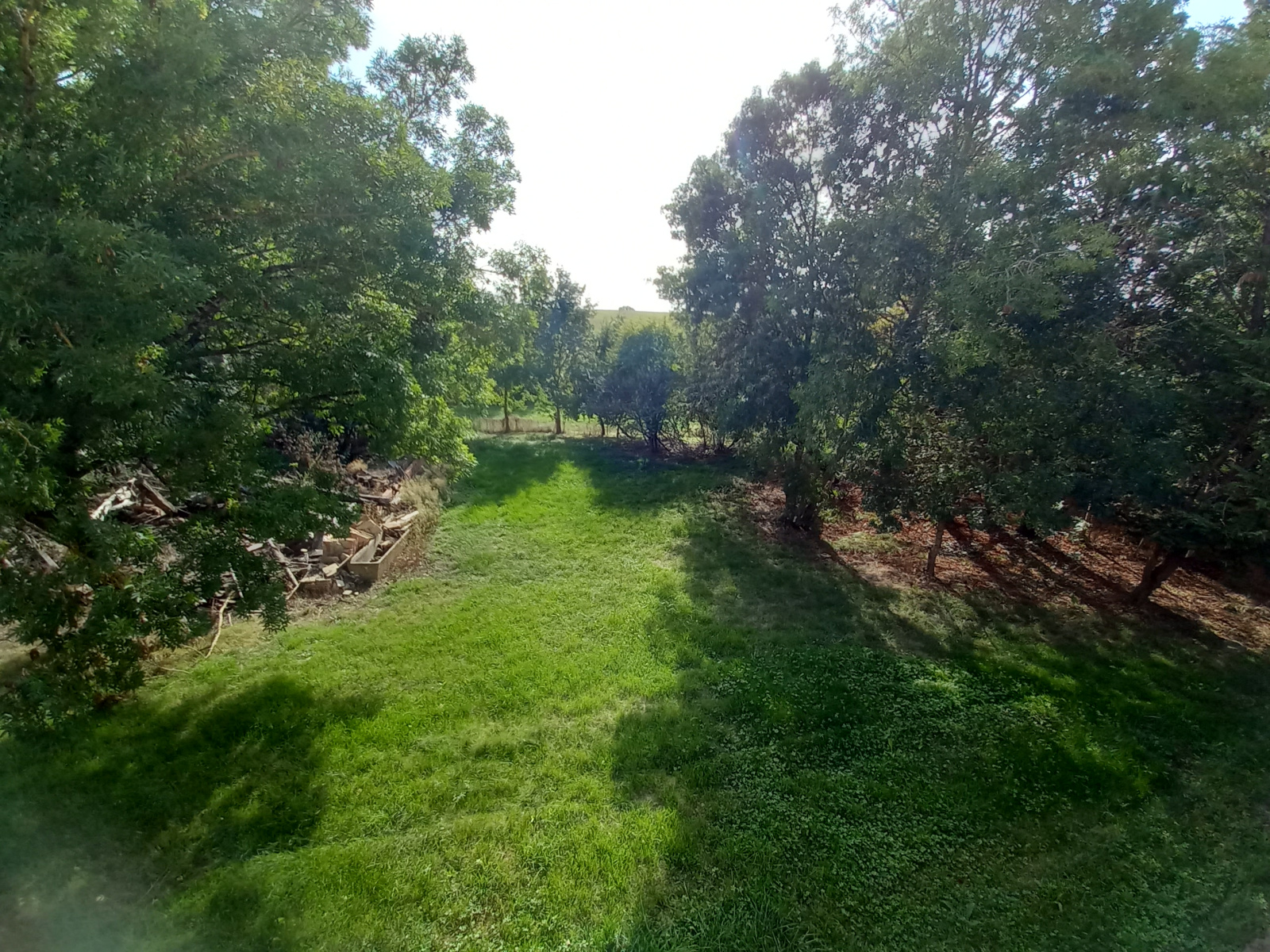 Image_9, Maison, Cologne, ref :