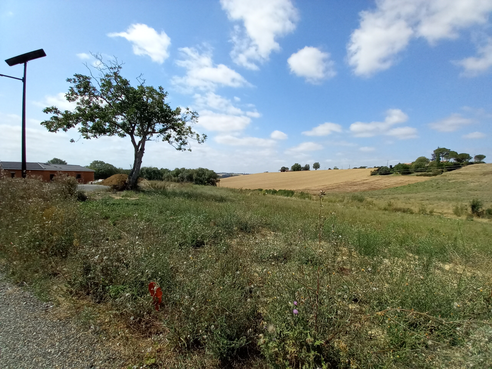 Image_2, Terrain à batir, Gimont, ref :1043