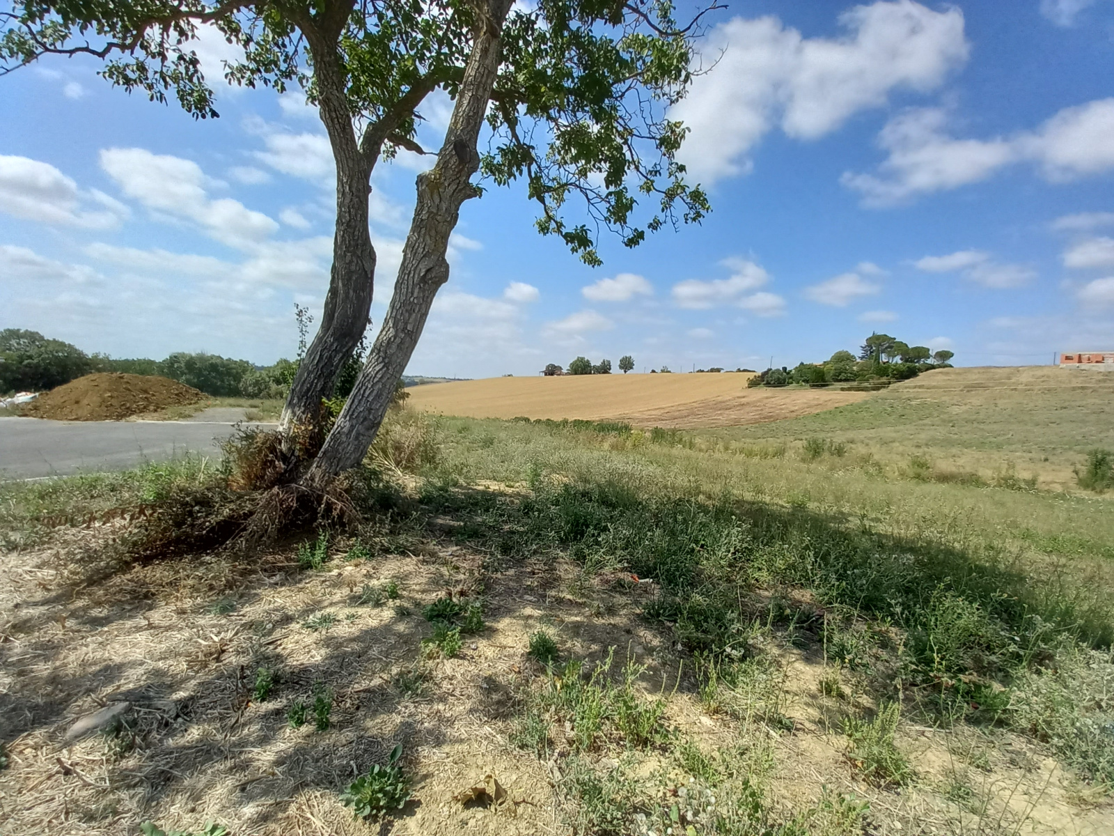 Image_1, Terrain à batir, Gimont, ref :1043