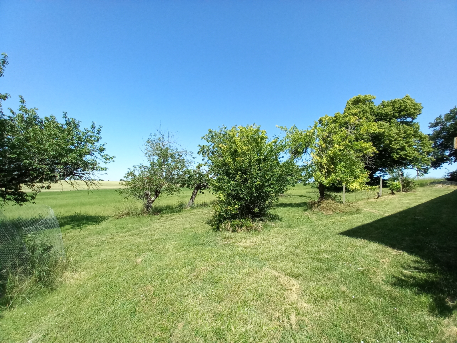 Image_17, Propriete, L'Isle-Jourdain, ref :1137